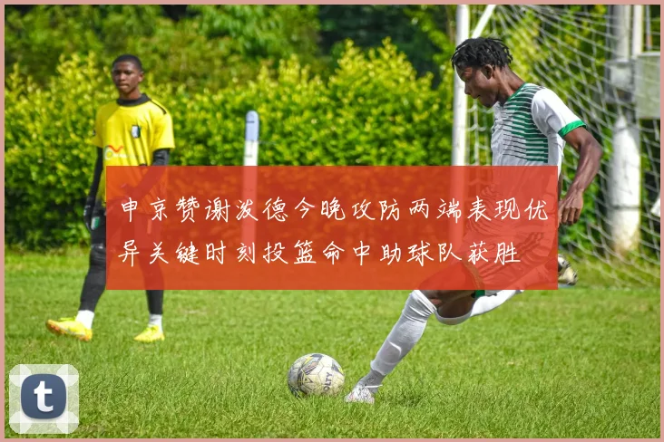 申京赞谢泼德今晚攻防两端表现优异关键时刻投篮命中助球队获胜