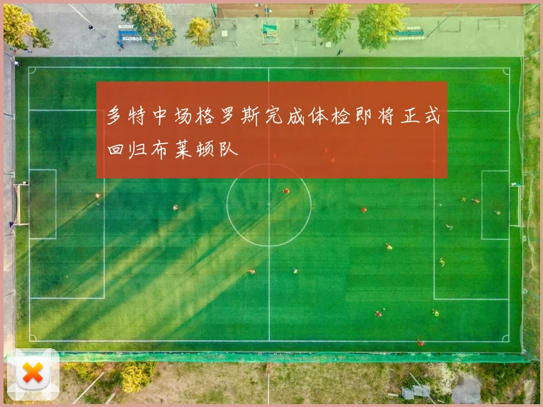 多特中场格罗斯完成体检即将正式回归布莱顿队