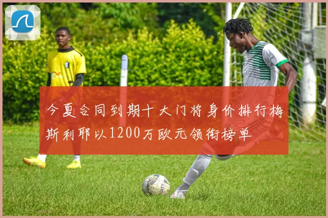 今夏合同到期十大门将身价排行梅斯利耶以1200万欧元领衔榜单